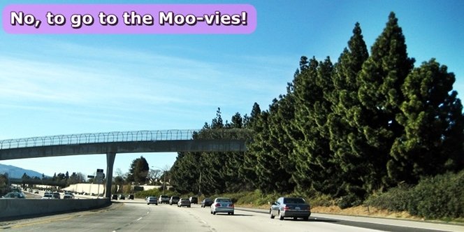 CLICK to continue: Highway 280 North