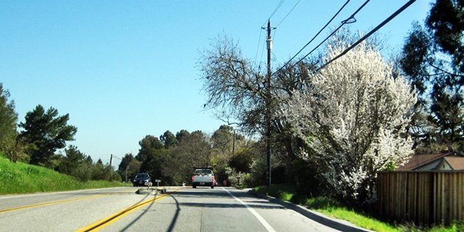 CLICK to continue: Arastradero