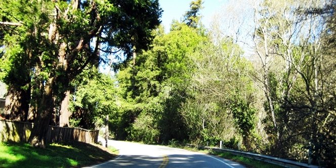 CLICK to continue: Branciforte Drive