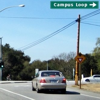 CLICK to go RIGHT on Campus Loop Drive from Junipero Serra Road